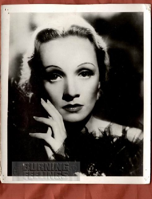 MARLENE DIETRICH PORTRAIT GERMAN 8x10 VINTAGE PHOTO